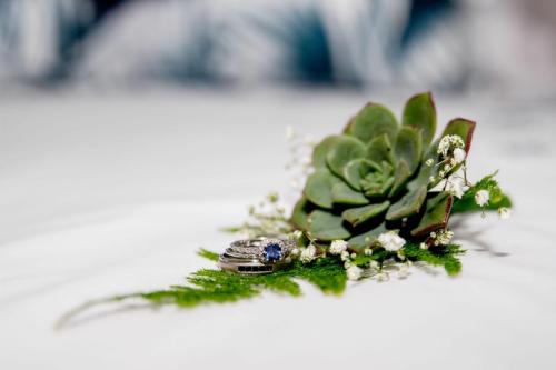 MelissaCraigAziz_poplapphotography_05122020_ (12)